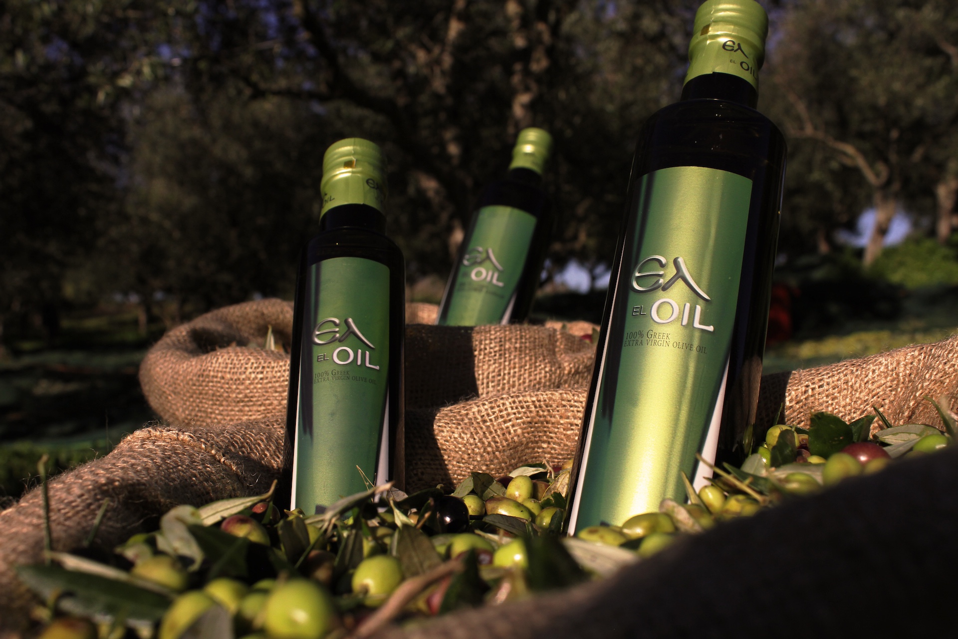 Ελ Olive Oil